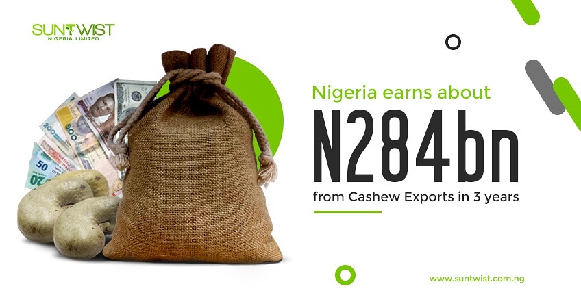 Cashew-exports_suntwist-nigeria