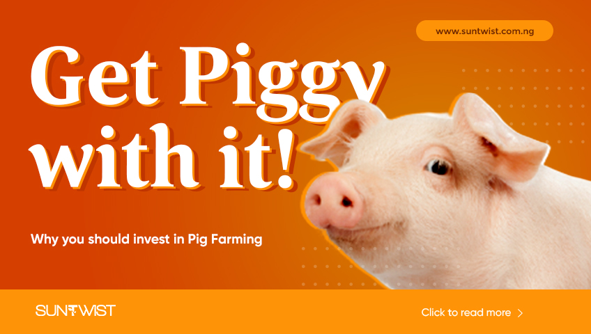 Why Pig farming