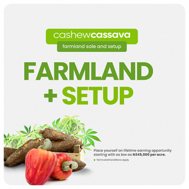 Cashew Cassava Card copy