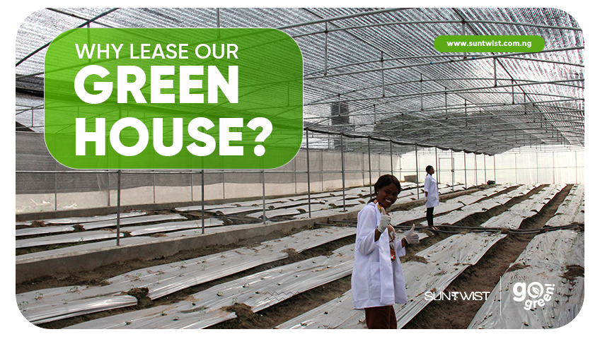 why-lease-our-greenhouse