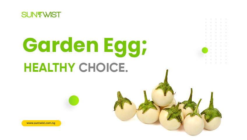 garden-egg-healthy-choice