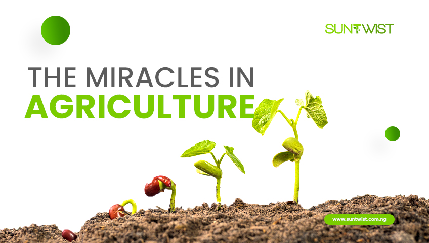 the-miracle-in-agriculture