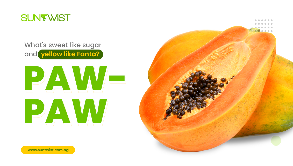 carica-papaya-pawpaw